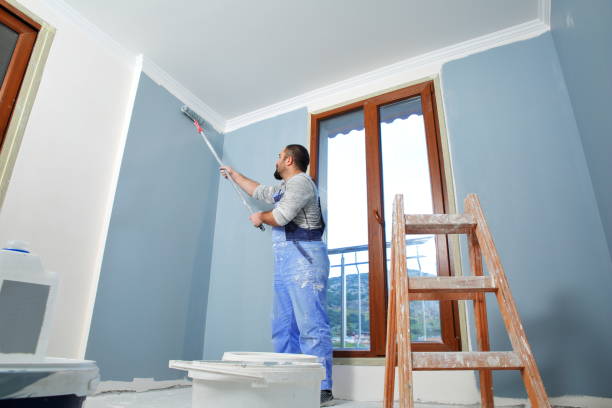 Best Mold Prevention Services  in Dodson Branch, TN