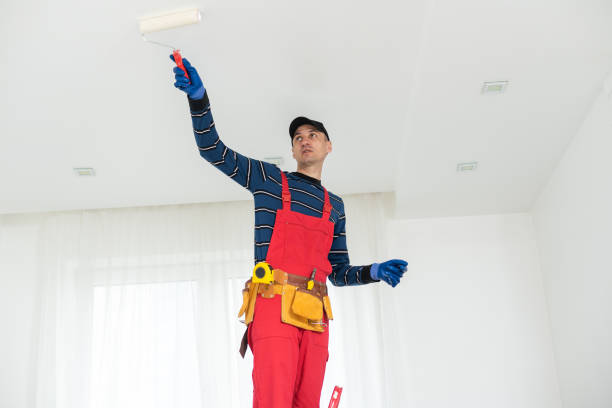 Dodson Branch, TN Mold Removal Company